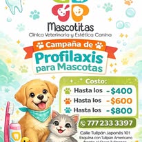 Campaña Mascotitas 1