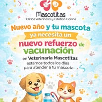 Campaña Mascotitas 4