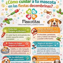 Campaña Mascotitas 6