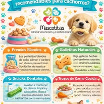 Campaña Mascotitas 7