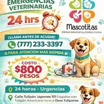 Emergencias veterinarias 24 horas