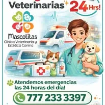 Veterinarias 24 horas