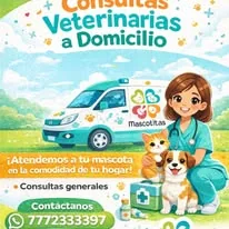 Consultas veterinarias a domicilio